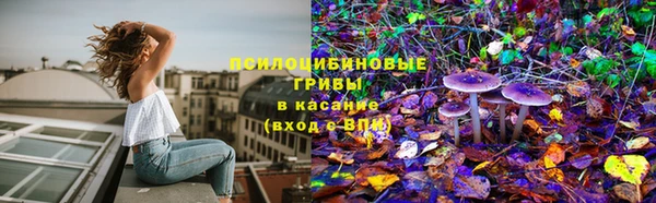 СК Сафоново
