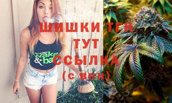 СК Сафоново